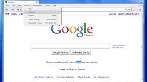 Introducing NetSurfer 4 - The web in your hands