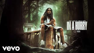 SCY Jimm, YBN Lil Bro - In A Hurry (Visualizer)