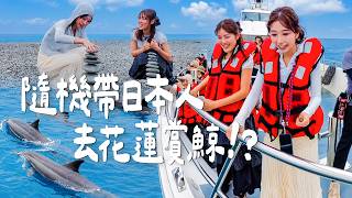 隨機帶日本人去花蓮賞鯨❤️海豚整群追船畫面美到像電影！完全愛上台灣❤️｜Japanese Girls｜Taiwan travel｜Living In Taiwan｜Taiwan youtuber