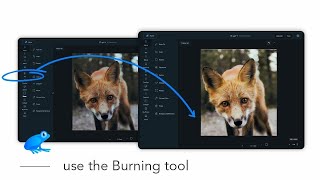 How to use the Burning tool - Ribbet web version