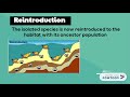 Punctuated Equilibrium Vs Gradualism In Evolutionary Biology