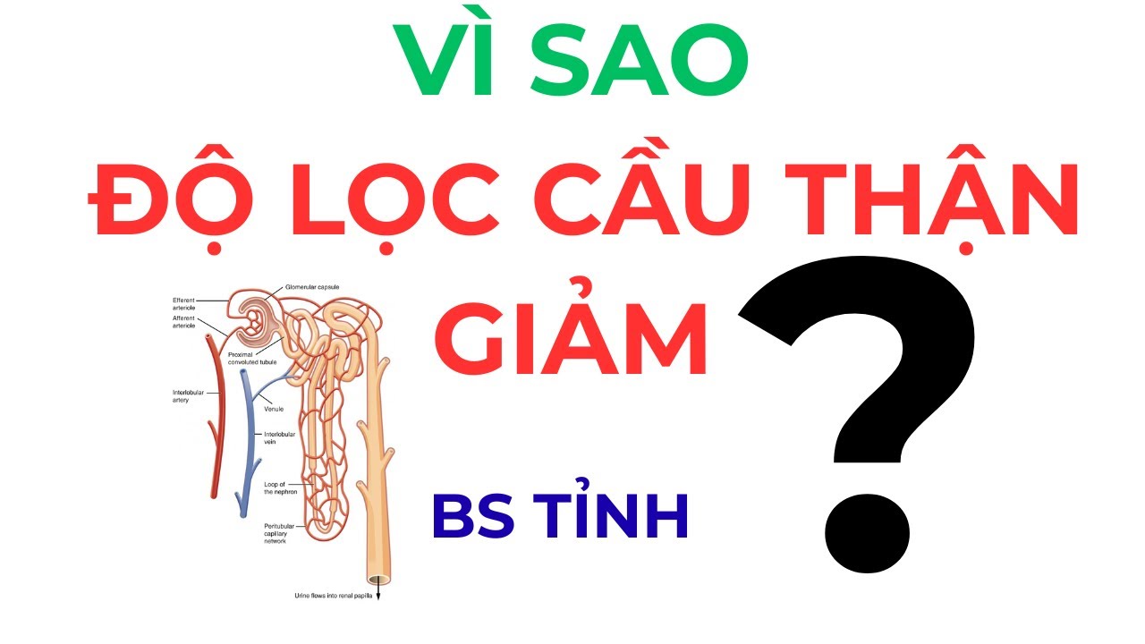 Vì sao độ lọc cầu thận giảm? 5 cơ chế quan trọng và điều đáng mừng là: đa số có thể đảo ngược