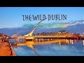One thing you should know about Dublin is...