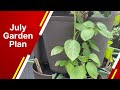 July gardening in florida top 15 vegetables to plant now
