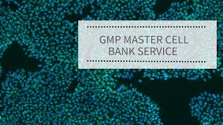 GMP Master Cell Bank Service | REPROCELL