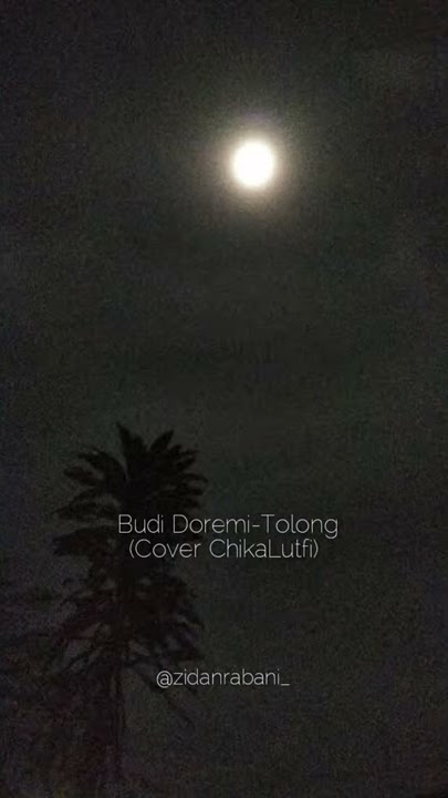 Budi Doremi - Tolong (Cover Chika Lutfi) - (Story WhatsApp)