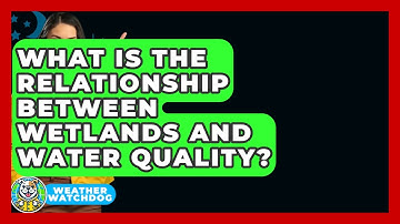 What Is The Relationship Between Wetlands And Water Quality? - Weather Watchdog