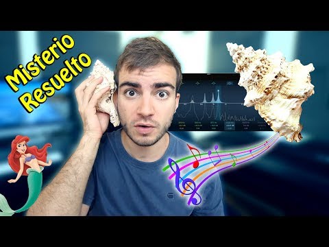 Video: ¿Cómo describe el sonido de una ola?