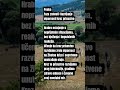 Razvijanje emocionalne tolerancije #mentalnozdravlje #mentalnasnaga #odnosi #odgovornost #snaga