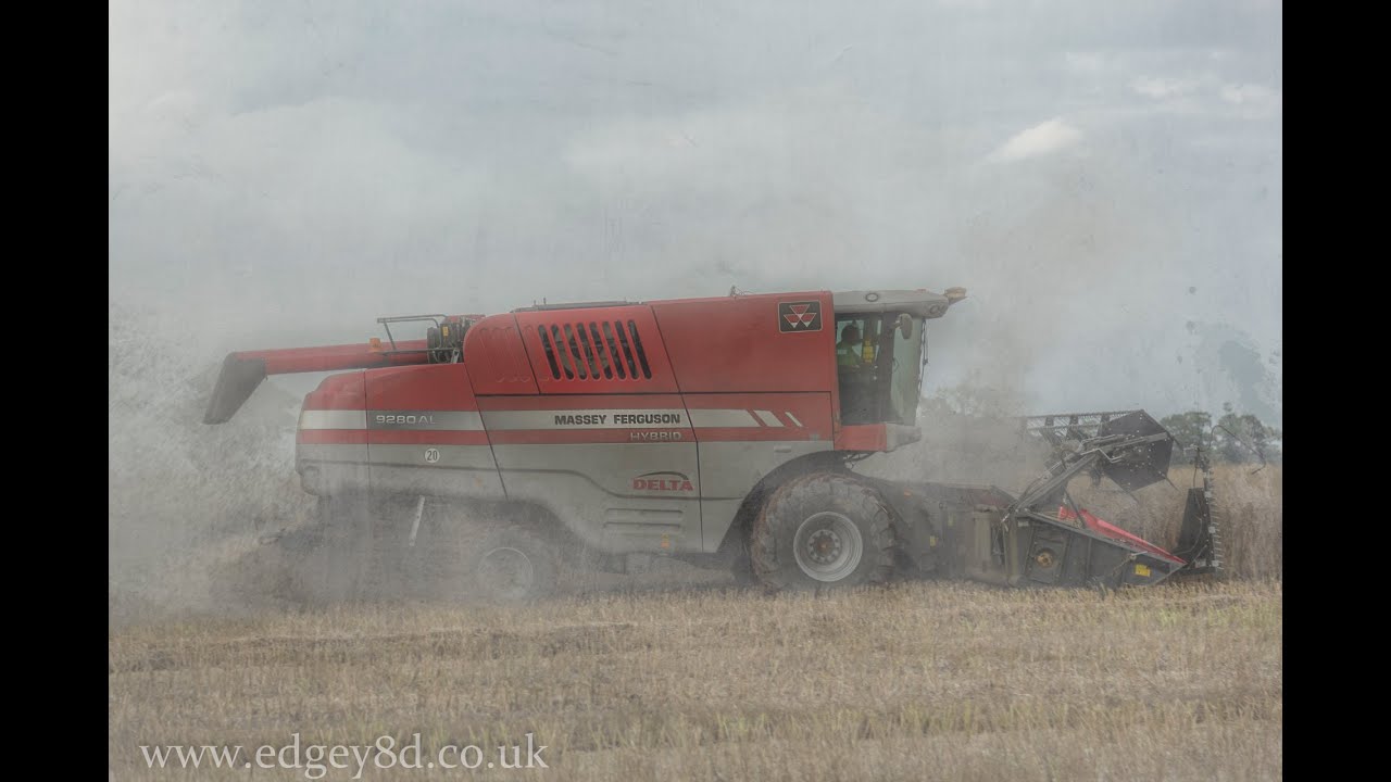 Massey Ferguson Delta 9280 AL Hybrid OSR - Harvest 2013