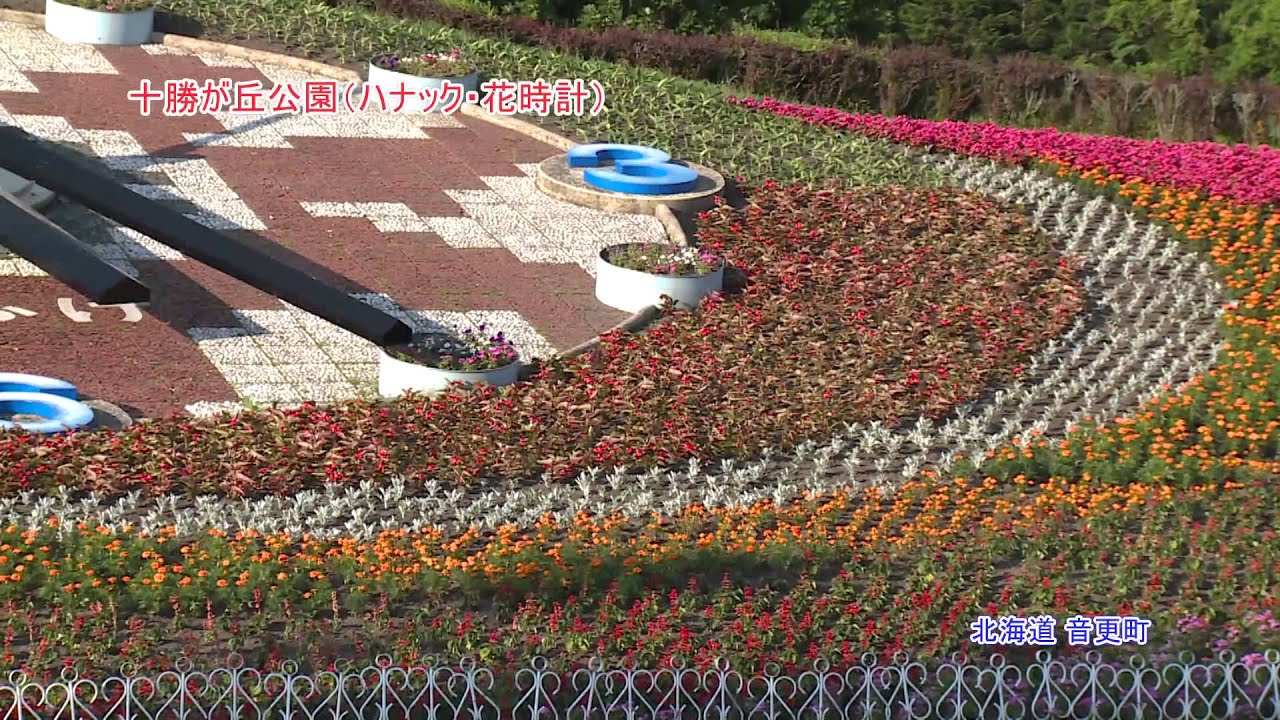十勝が丘公園 ハナック 花時計 北海道音更町 Youtube