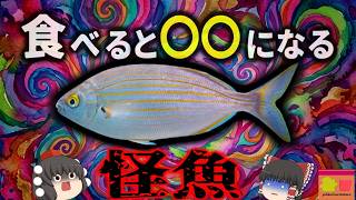 [1994] "The Fish That Causes Hallucinations When Eaten": The Mysterious "Salema Porgy," Known Sin...