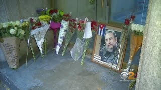 Cuban Community In Union City Reacts To Castro's Death