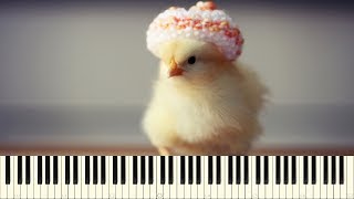 ♪ Kevin MacLeod: If I Had a Chicken - Piano Tutorial
