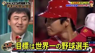 Shohei Ohtani's personality according to ex- baseball players, 2018
