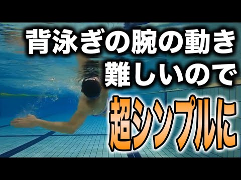 背泳ぎスピードアッププログラム 2枚組 背泳ぎスピードアッププログラム 2枚組 背泳ぎスピードアップ