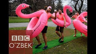 Коррупция энг кам бўлган 5 мамлакат қайси? Ўзбекистон 156-ўринда - BBC O'zbek