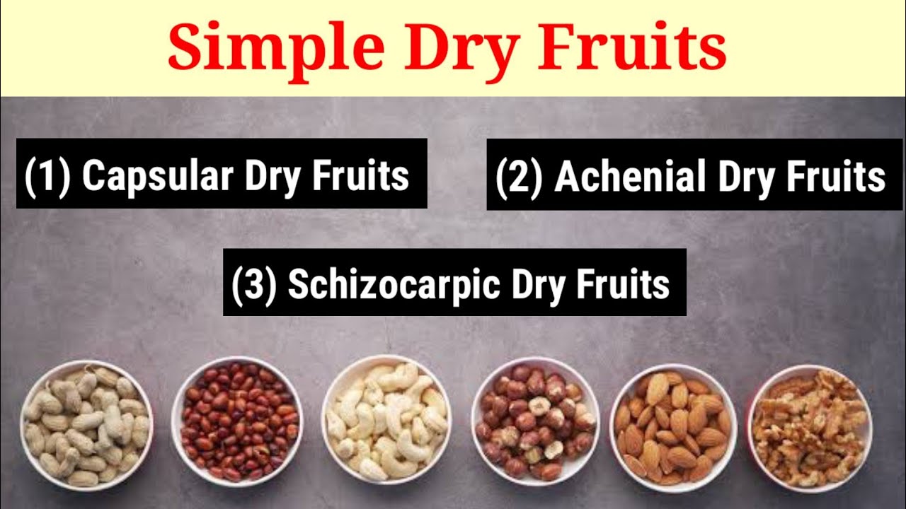 Simple Dry Fruits And It's Types (Lecture 10) In Hindi/Urdu.