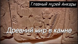 🏛️ANKARA: Самые интересные артефакты главного музея Турции‼️