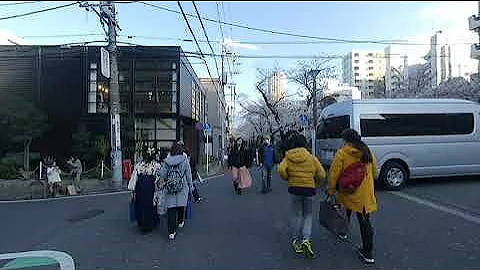 vr180 目黒川 桜 walking h265 200mbps  evo