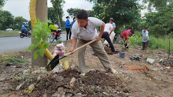 Ngân hàng shb nguyễn văn linh quận 7