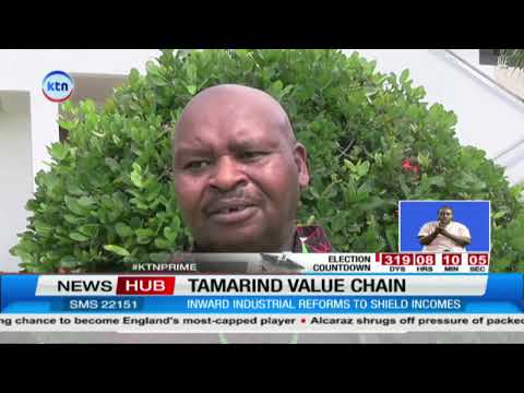 Tamarind Value Chain Gets Major Push as Stakeholders Seek Better Incomes for Rural Gatherers
