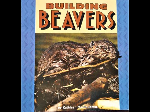 Building Beavers By