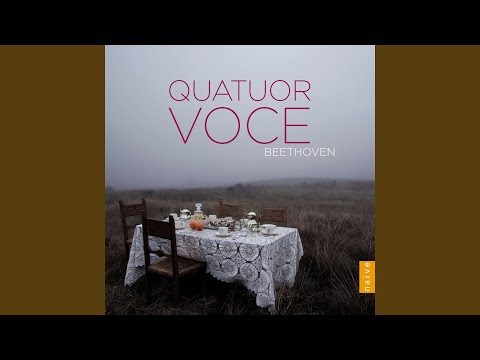 String Quartet No. 8 in E Minor, Op. 59 No. 2: III. Allegretto