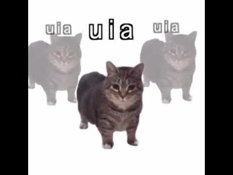 RAMMSTEIN (OIIA cat cover) - Sonne