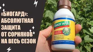 СРЕДСТВО ОТ СОРНЯКОВ КУПИТЬ В СПБ ❕