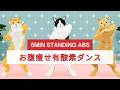 立ったままお腹痩せ!5分かんたん有酸素ダンス😸