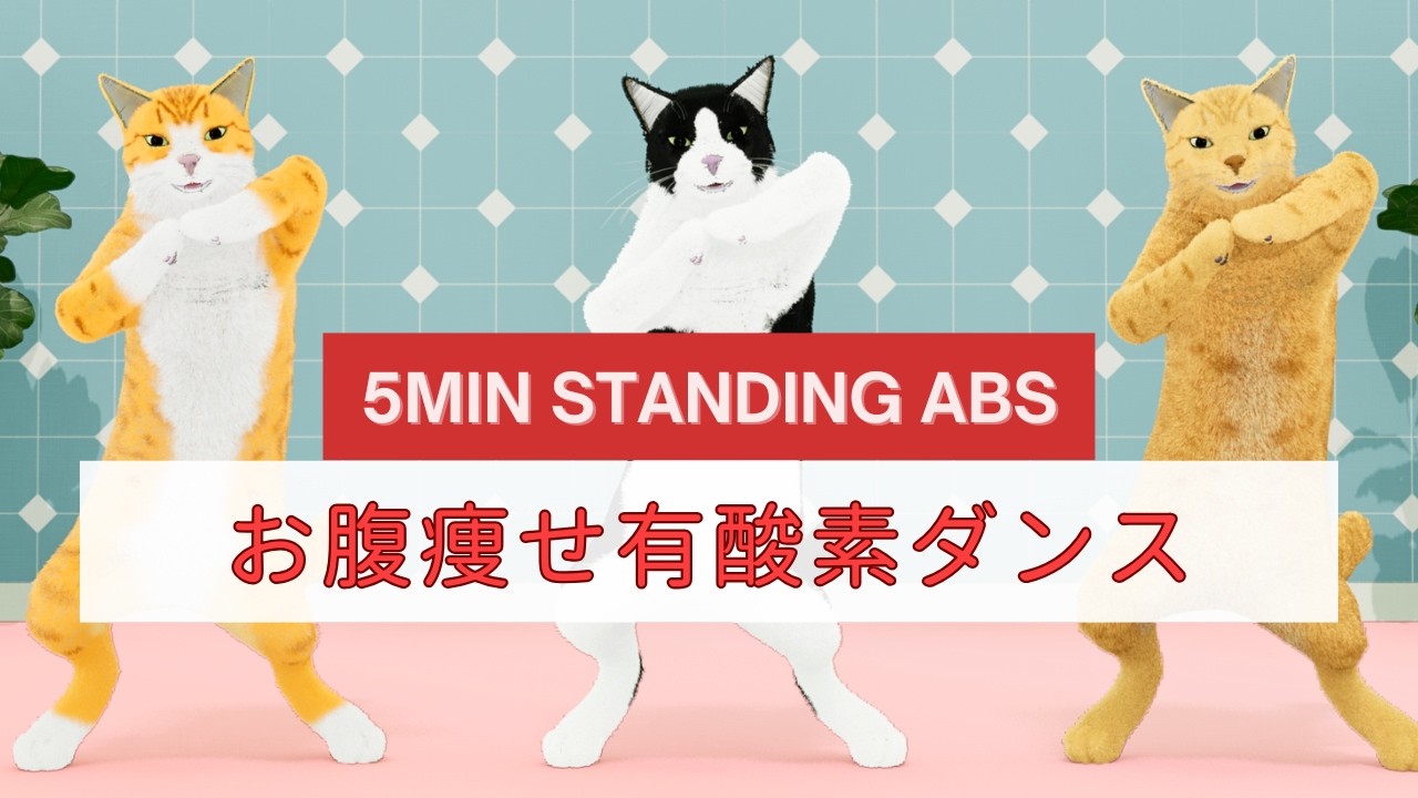 立ったままお腹痩せ!5分かんたん有酸素ダンス😸