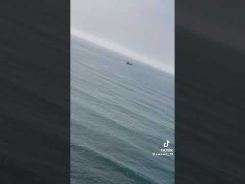 خوك حراق منا مش عارفه اشتراك على اخوك