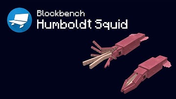Humboldt Squid - Blockbench Creation Timelapse