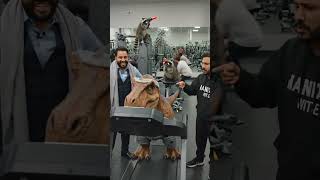 T-Rex joins Gym 😂 #dinosaur #funny #usacomedy #haveitoldyoulatelythatiloveyou #sitcomcomedy‎