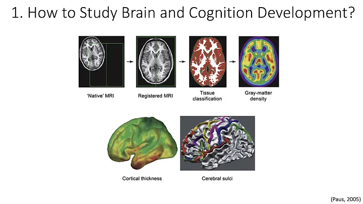 13.1. Neurodevelopment Study Tools, Fundamentals of Cognitive Neuroscience Course, Session 13, Part1