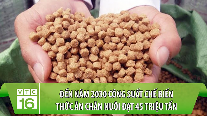 Danh sách công ty chế biến thức an chăn nuôi