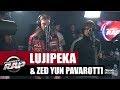 Lujipeka  zed yun pavarotti feedback planterap