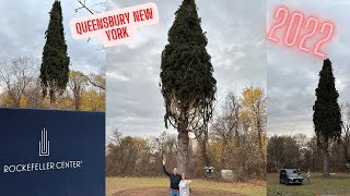 2022 Rockefeller Center Christmas tree - Queensbury NY ￼