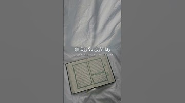 ﴿ افرَأيت الَّذِي كفرَ بآياتِنا ﴾ سوره مريم، عبدالرحمن مسعد#ارح_قلبك #قران_كريم
