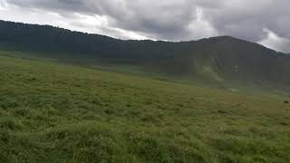 HIFADHI YA WANYAMA YA NGORONGORO (4)