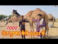 7000 Camel in Pushkar Mela Rajasthan 2021 । 7000 ऊंट पुष्कर मेला राजस्थान 2021 में