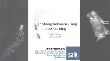 Quantifying behavior using deep learning