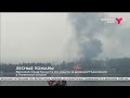 Пожар за деревней Пышминкой | Тюменская область