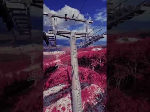 إني ذكرتك فاخضرت بساتيني أحمد النفيس