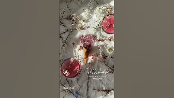 (فَتَوَكَّلْ عَلَى اللَّهِ ۖ إِنَّكَ عَلَى الْحَقِّ الْمُبِينِ ) -سورة النمل-
