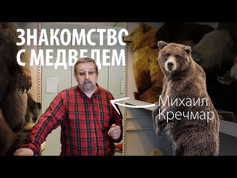 О медведях. Михаил Кречмар