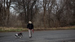Dog's legacy is living on in the Tri-Cities Animal Shelter