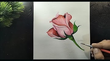 Mastering Realistic Rose Drawing Techniques| how to draw realistic roses for beginners|step by step