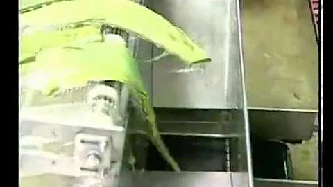 Quanto si guadagna con l'aloe?